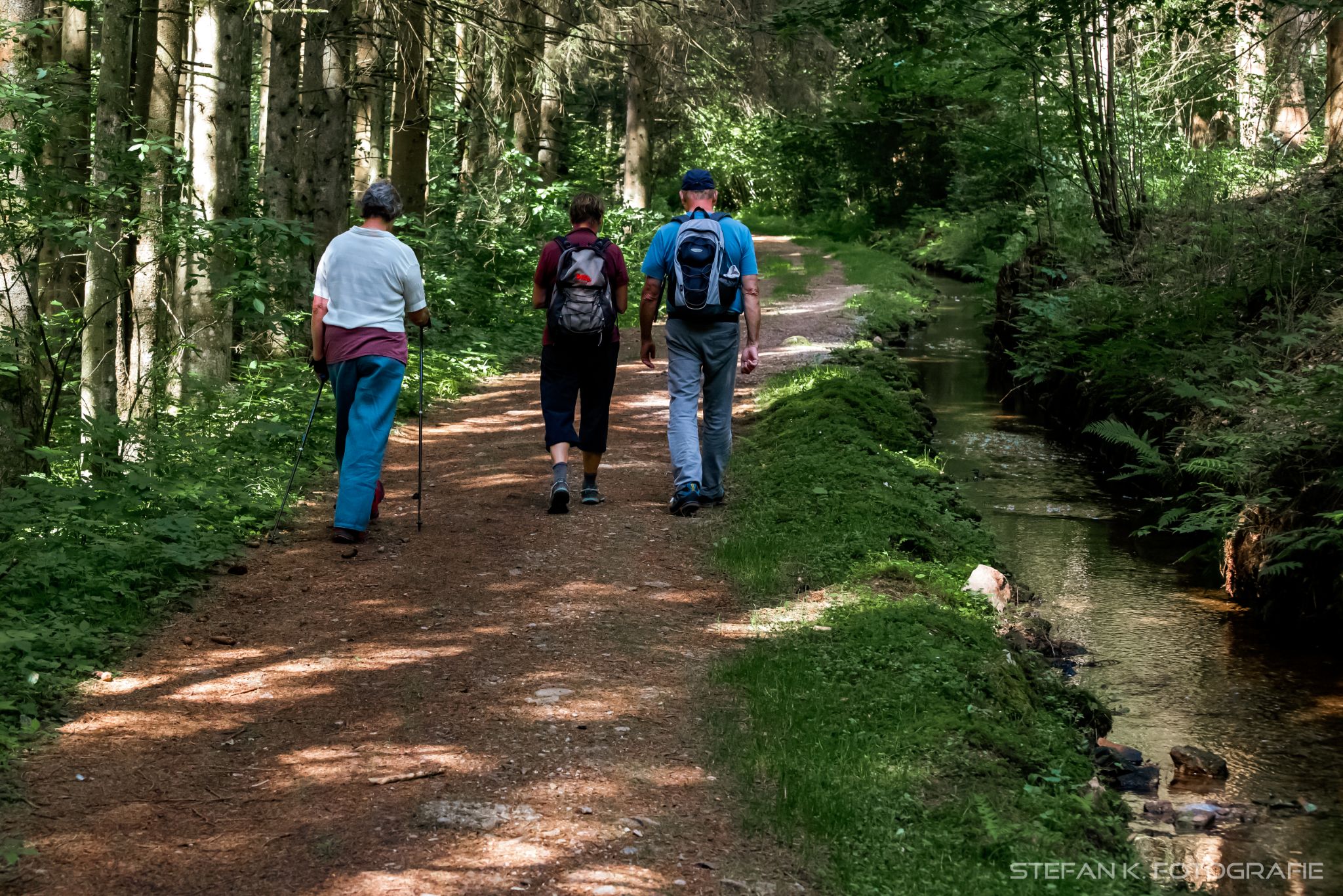 Gemütlich geht's zurück